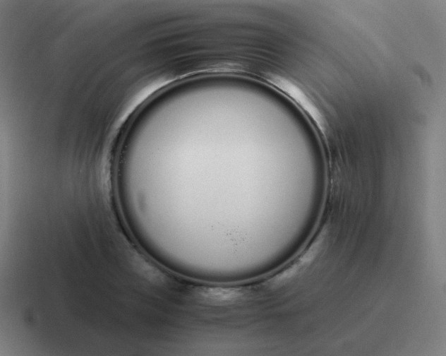 X0000116840835200912312053