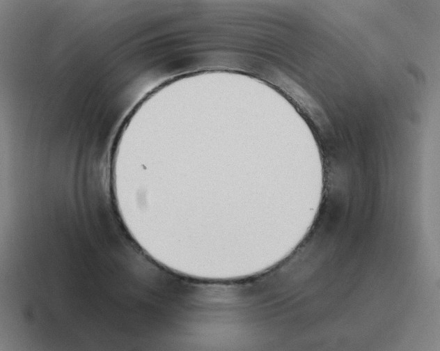 X0000116840836200912312053