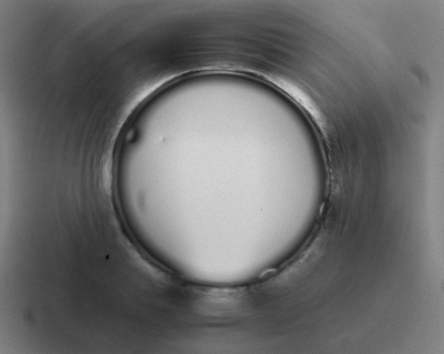 X0000116840839200912312053