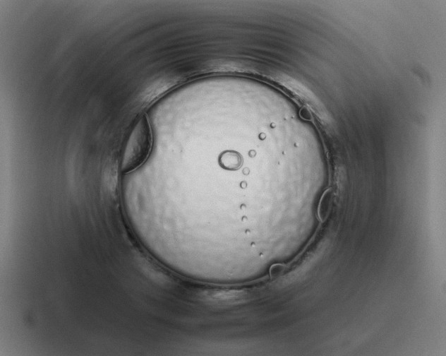 X0000116840841200912312053