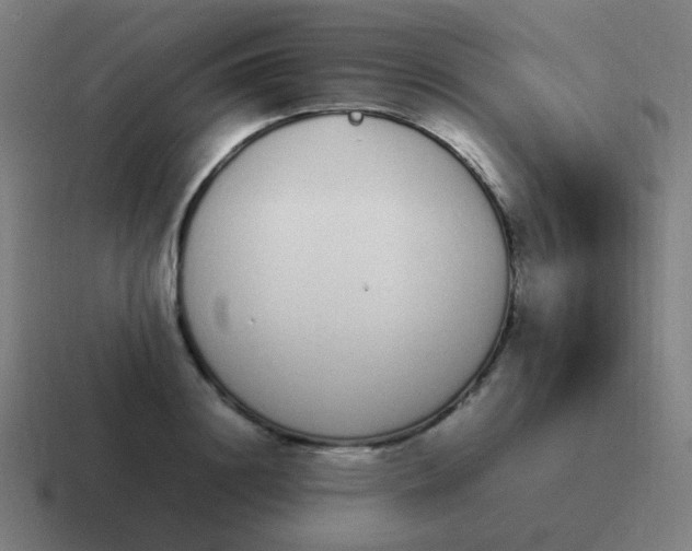 X0000116840844200912312053