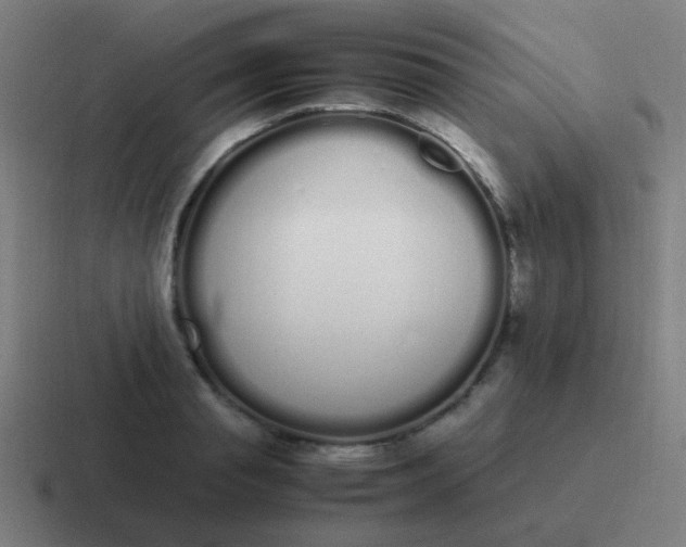 X0000116840845200912312053