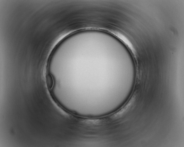 X0000116840847200912312053