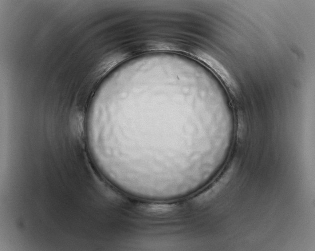 X0000116840849200912312053