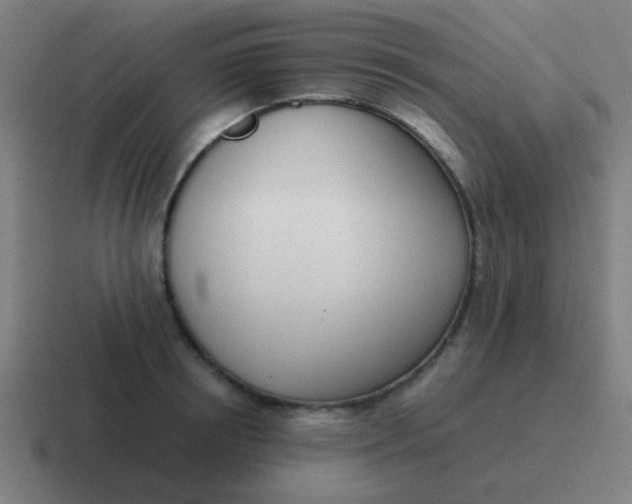 X0000116840850200912312053