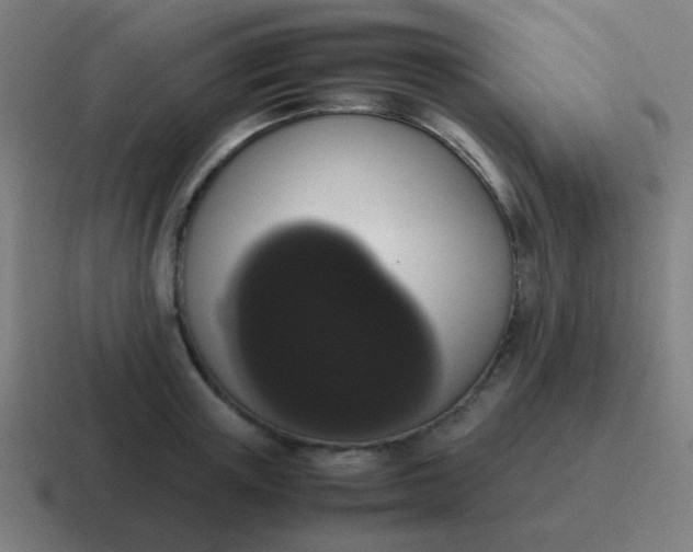 X0000116840851200912312053