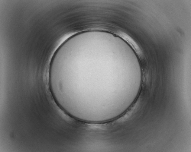 X0000116840852200912312053