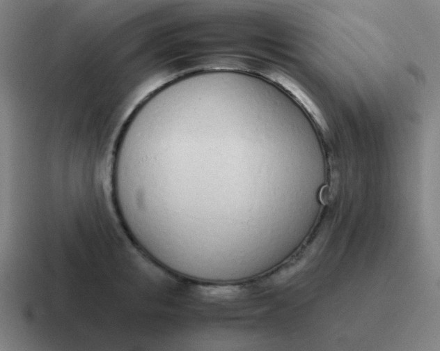 X0000116840853200912312053