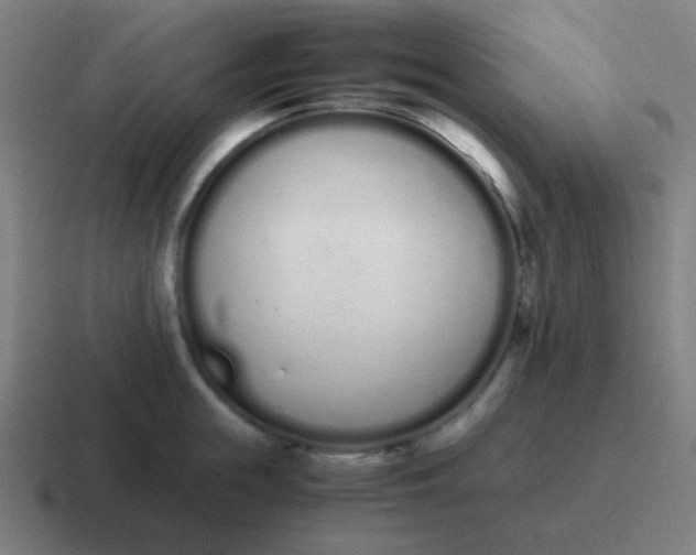 X0000116840855200912312053