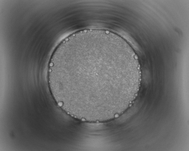 X0000116840856200912312053