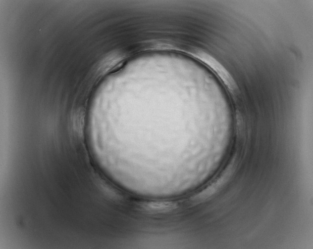 X0000116840857200912312053