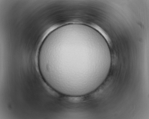 X0000116840861200912312053