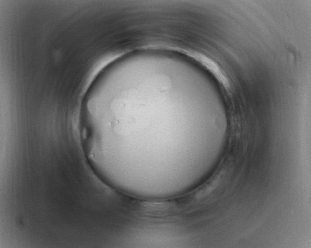 X0000116840863200912312053