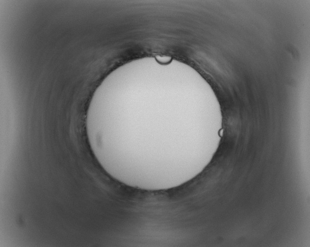 X0000116840865200912312053