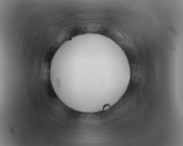 X0000116840866200912312053