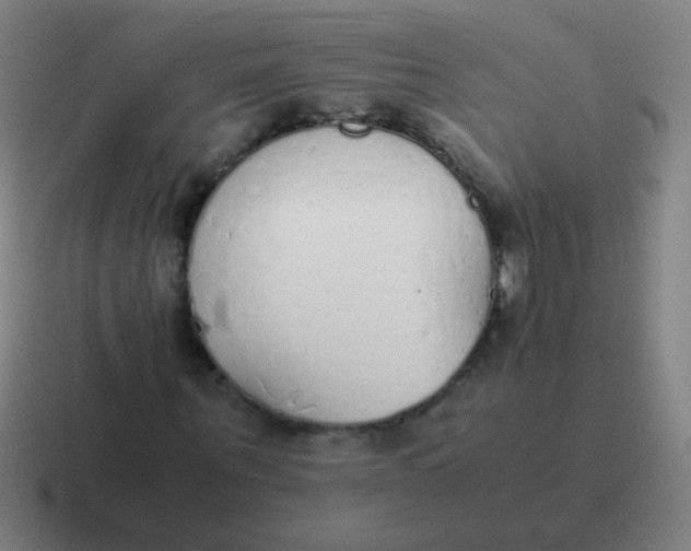 X0000116840867200912312052