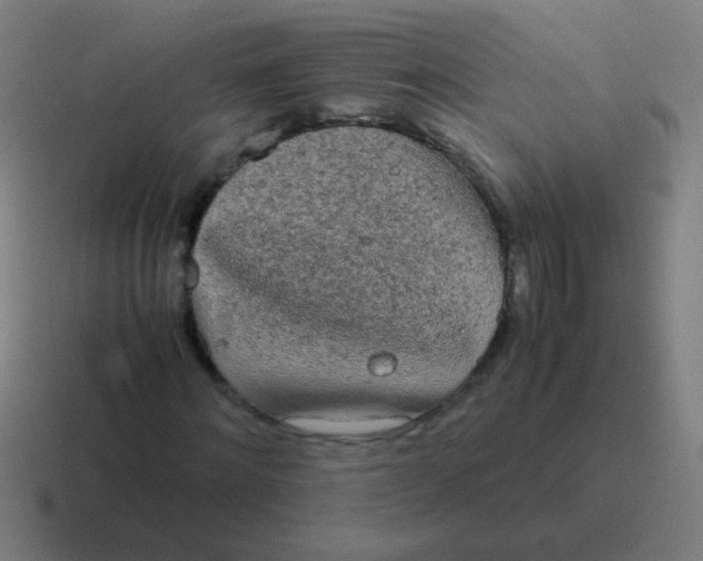 X0000116840868200912312052