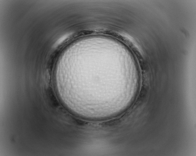 X0000116840871200912312052