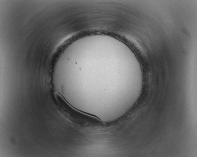 X0000116840872200912312052