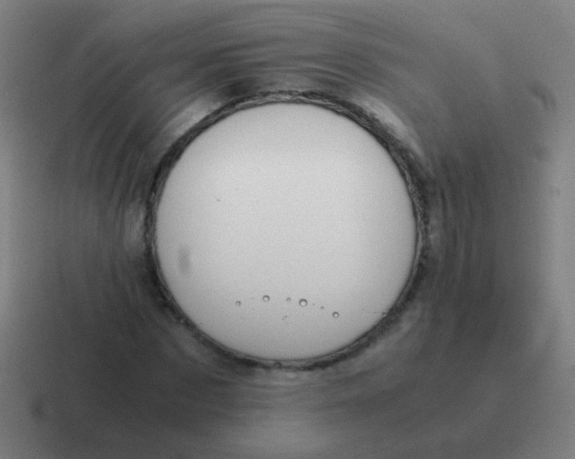 X0000116840873200912312052