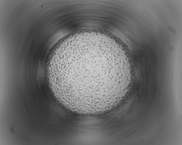 X0000116840874200912312052