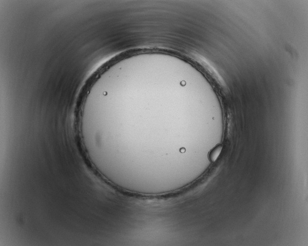 X0000116840876200912312052