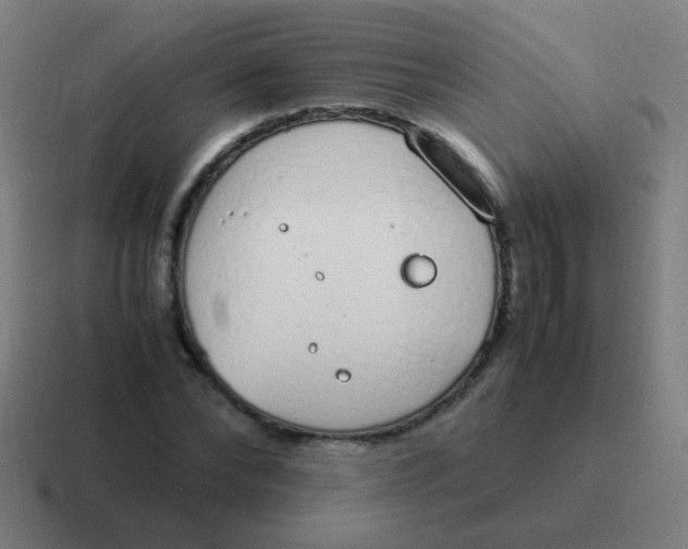 X0000116840878200912312052