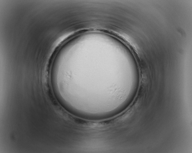 X0000116840879200912312052