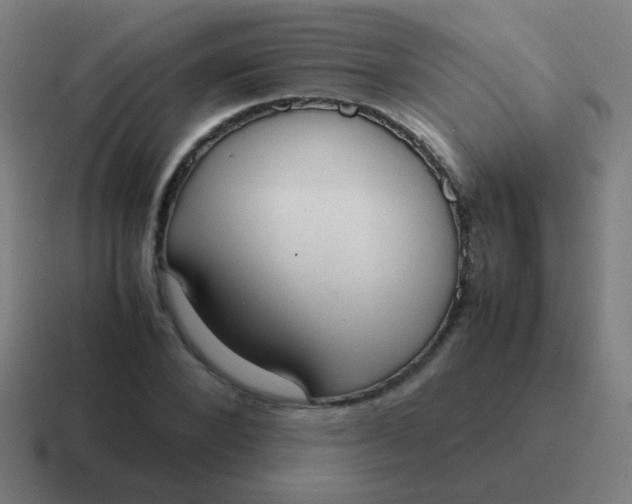 X0000116840880200912312052