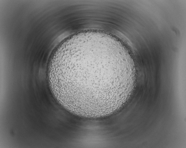 X0000116840882200912312052