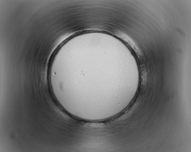 X0000116840884200912312052