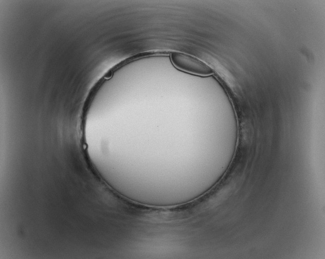 X0000116840885200912312052