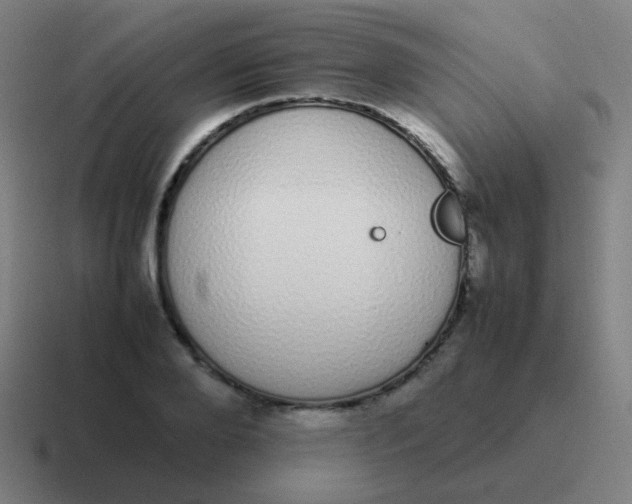 X0000116840888200912312052