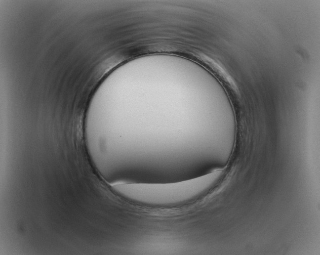 X0000116840889200912312052