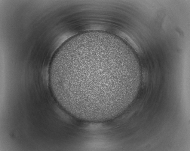 X0000116840890200912312052