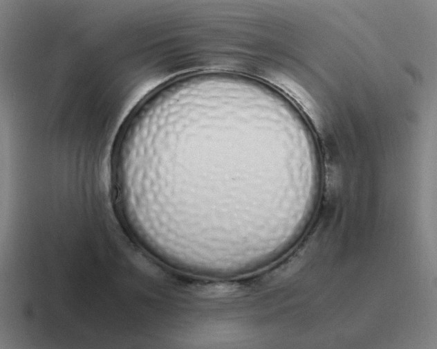 X0000116840891200912312052