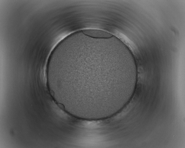 X0000116840892200912312052