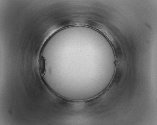 X0000116840893200912312052