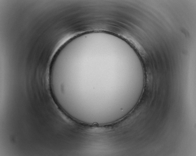 X0000116840894200912312052