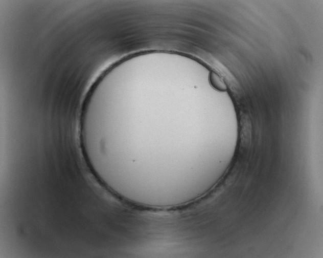 X0000116840896200912312052