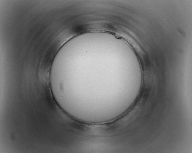 X0000116840897200912312052