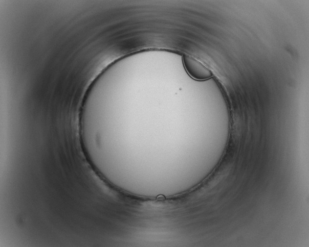 X0000116840898200912312052