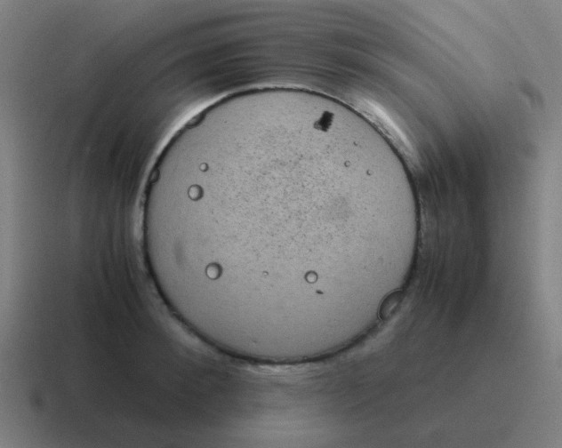 X0000116840900200912312052