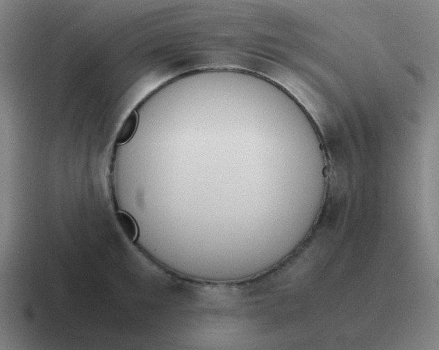 X0000116840901200912312052