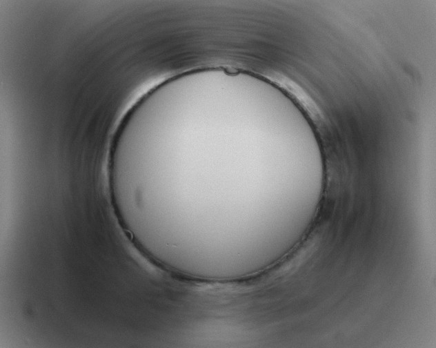 X0000116840902200912312052