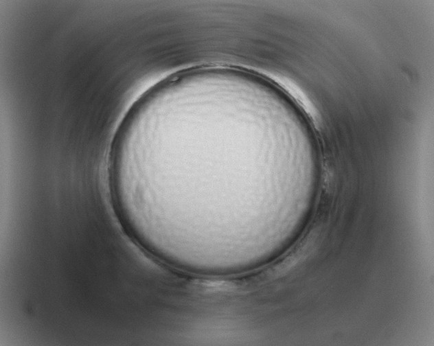 X0000116840903200912312052