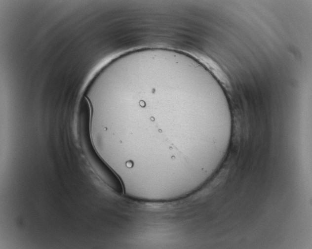 X0000116840904200912312052