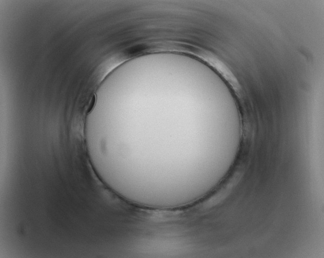 X0000116840905200912312052