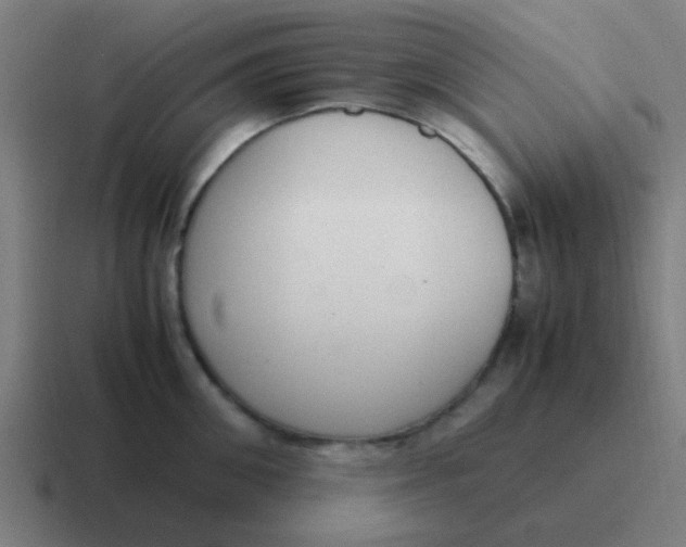 X0000116840906200912312052