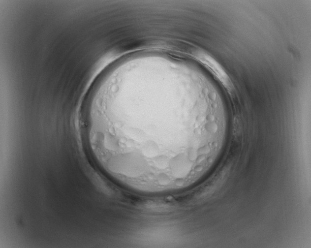 X0000116840907200912312052